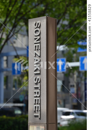 指路牌 指路牌 41558829