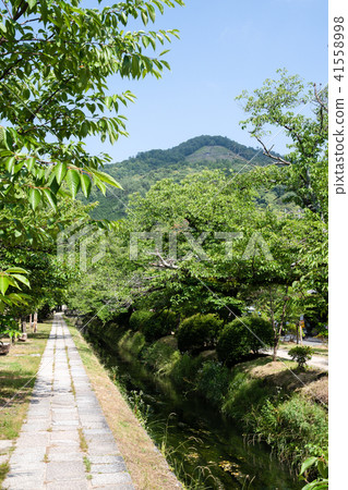 國會山和新鮮綠色（京都·日本）附近的疏水銀閣寺 41558998
