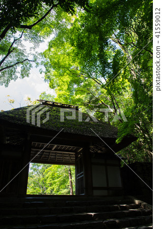 New Green's Hojoin (Kyoto · Japan) 41559012