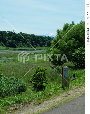 府中的初夏多摩河冷michi 府中的初夏多摩河冷michi 41559041