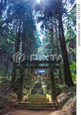 Kamiromami Kumanoza Shrine [Takamori Town, Aso County, Kumamoto Prefecture] 41559354