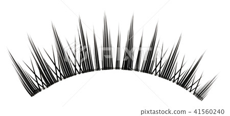 eyelash eyelash 41560240