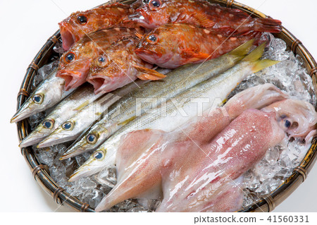 Camus and cassava and seafood at scoring squid 41560331