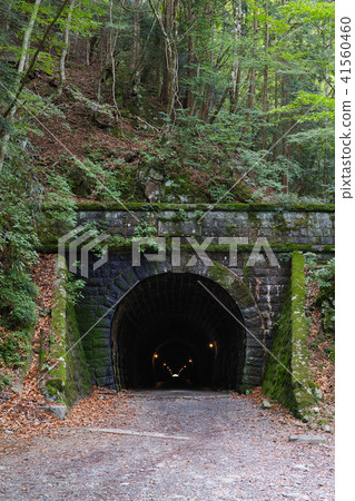 [重要文化財產]前天城隧道（天城山隧道）複製空間 41560460