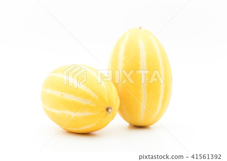 Macquawly(海龜):韓國甜瓜 Macquawly(海龜):韓國甜瓜 41561392