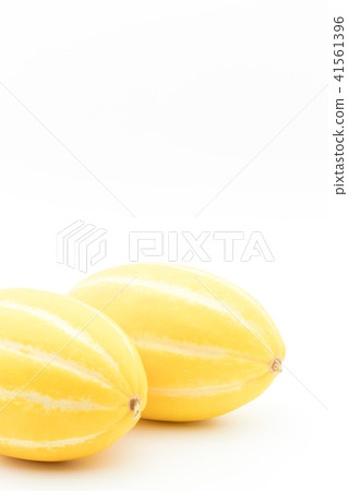 Macquawly (Turtle): Korean melon Macquawly (Turtle): Korean melon 41561396