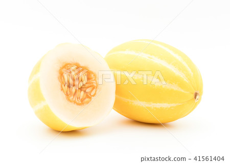 Macquawly (Turtle): Korean melon 41561404