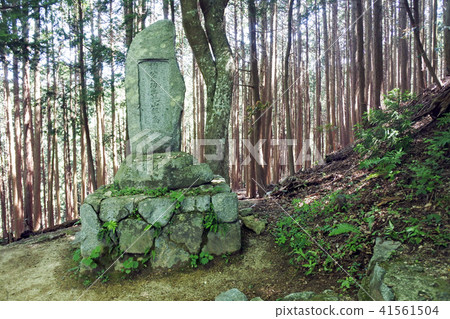 Chihayakijo 41561504