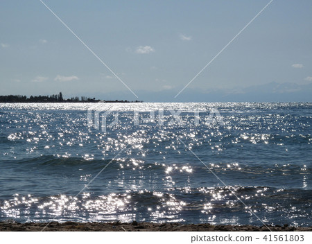 solar asterisks on the lake  41561803