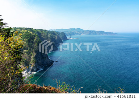 [Tanohata-mura, Iwate Prefecture] The corridor of the cormorant cormorant nestling in the 200m cliff towering in 5 rows is the fresh green season 41561811