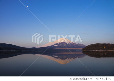 Mt.Fuji在黎明Yamanakako 41562129