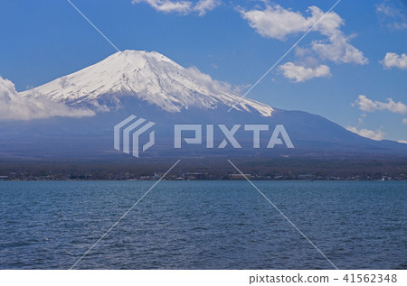 在早春的山中湖山富士山 在早春的山中湖山富士山 41562348