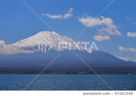 在早春的山中湖山富士山 在早春的山中湖山富士山 41562349