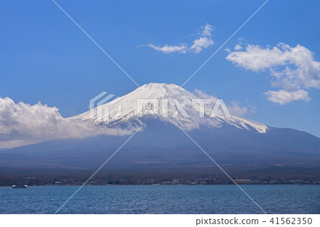 在早春的山中湖山富士山 在早春的山中湖山富士山 41562350