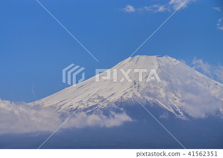 在早春的山中湖山富士山 41562351