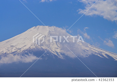 在早春的山中湖山富士山 41562353
