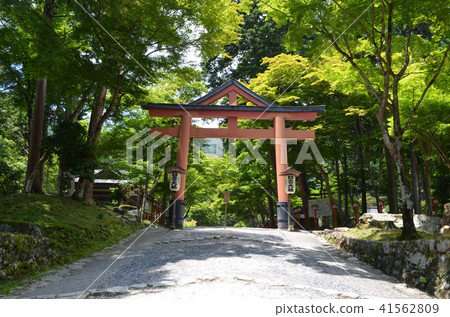 [滋賀縣] Hiyoshi Taisha和Sanno Torii 41562809