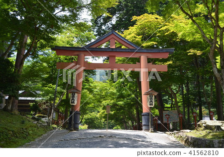 [滋賀縣] Hiyoshi Taisha和Sanno Torii 41562810