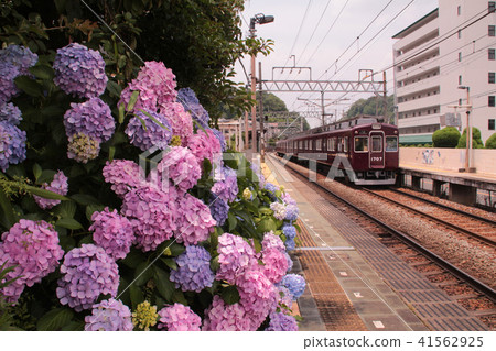 地方鐵路鐵路 41562925