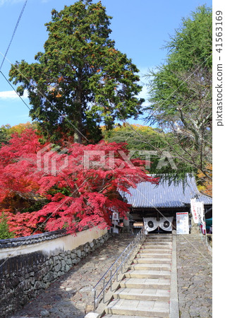 Takaraga-ji Temple in Kyoto Autumn 41563169