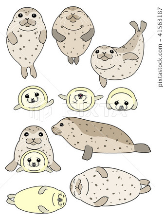 Parent-child material set of seals Parent-child material set of seals 41563187