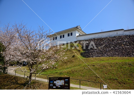 Tomioka castle 41563604