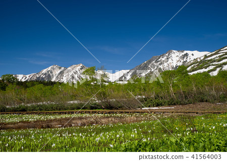 Tsugaike自然公園水basho 41564003