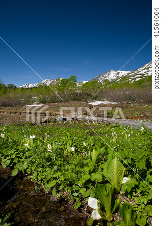Tsugaike自然公園水basho 41564004