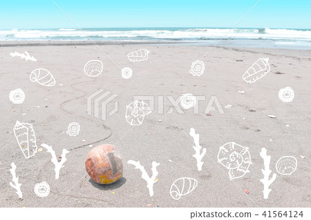 滾動在海灘，貝殼和珊瑚例證的椰子的圖片 41564124