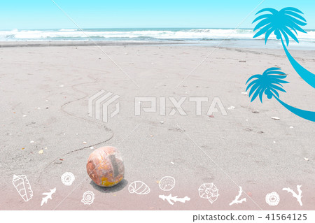 Illustration of coconut photos rolling on the beach, shells and palm trees 41564125