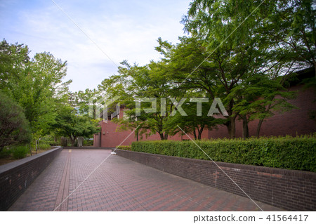 Saitama Prefectural Nature Museum Saitama Prefectural Nature Museum 41564417