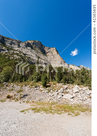 Forest and Mountains Sarca Valley - Trentino Italy 41565695