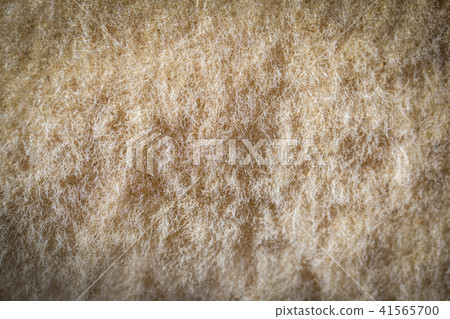 closeup of natural sheep wool closeup of natural sheep wool 41565700
