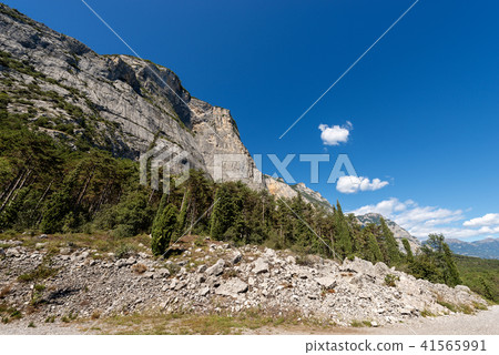 Forest and Mountains Sarca Valley - Trentino Italy 41565991