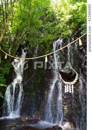Tamadare waterfall of Hakone town in May Tamadare waterfall of Hakone town in May 41566000