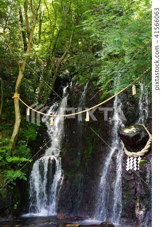 Tamadare waterfall of Hakone town in May 41566063