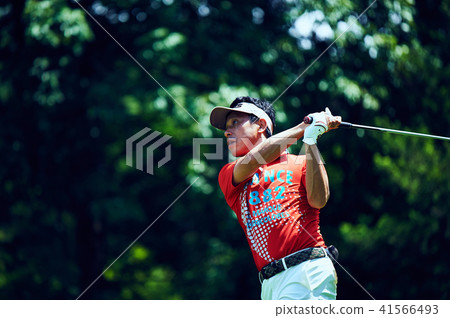 golf golf 41566493