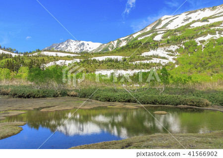 Tsugaike Nature Park 41566902
