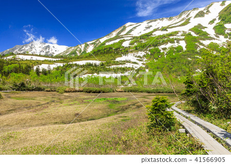Tsugaike Nature Park 41566905