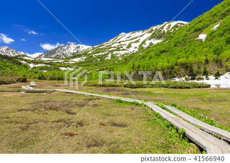 Tsugaike自然公園 41566940