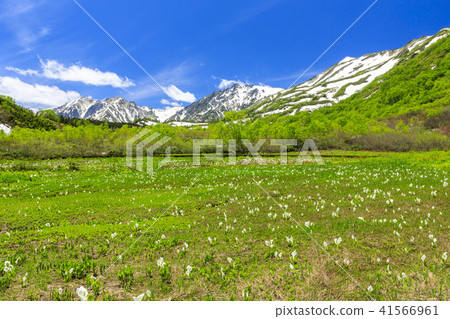 Tsugaike Nature Park 41566961