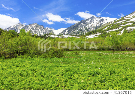 Tsugaike自然公園 41567015