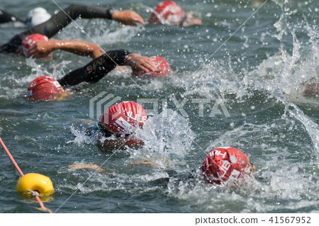 Triathlon swim players densely 41567952