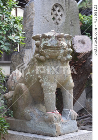 Kaigo狗(Kishijin神社/大阪府11- 30 Kishirocho,岸和田市) Kaigo狗(Kishijin神社/大阪府11- 30 Kishirocho,岸和田市) 41568123