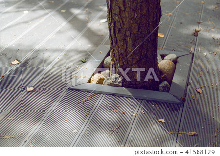 How to save a tree while building a terrace. 41568129