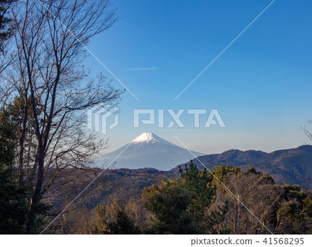 [Izu] Winter Mt. Fuji scenery [Shuzenji maple forest] 41568295