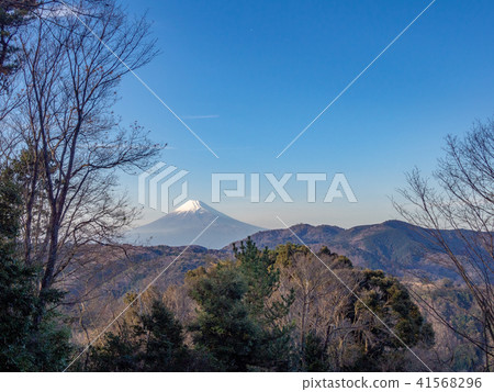 [Izu] Winter Mt. Fuji scenery [Shuzenji maple forest] 41568296