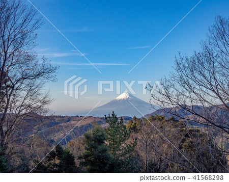 [伊豆]冬季富士山風光[修禪寺楓樹林] 41568298