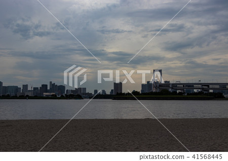 (東京 - 墨西哥灣沿岸風景)從台場海灘公園看到的彩虹橋3 (東京 - 墨西哥灣沿岸風景)從台場海灘公園看到的彩虹橋3 41568445