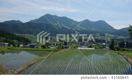 Kijimahei Village early summer Kijimahei Village early summer 41568645